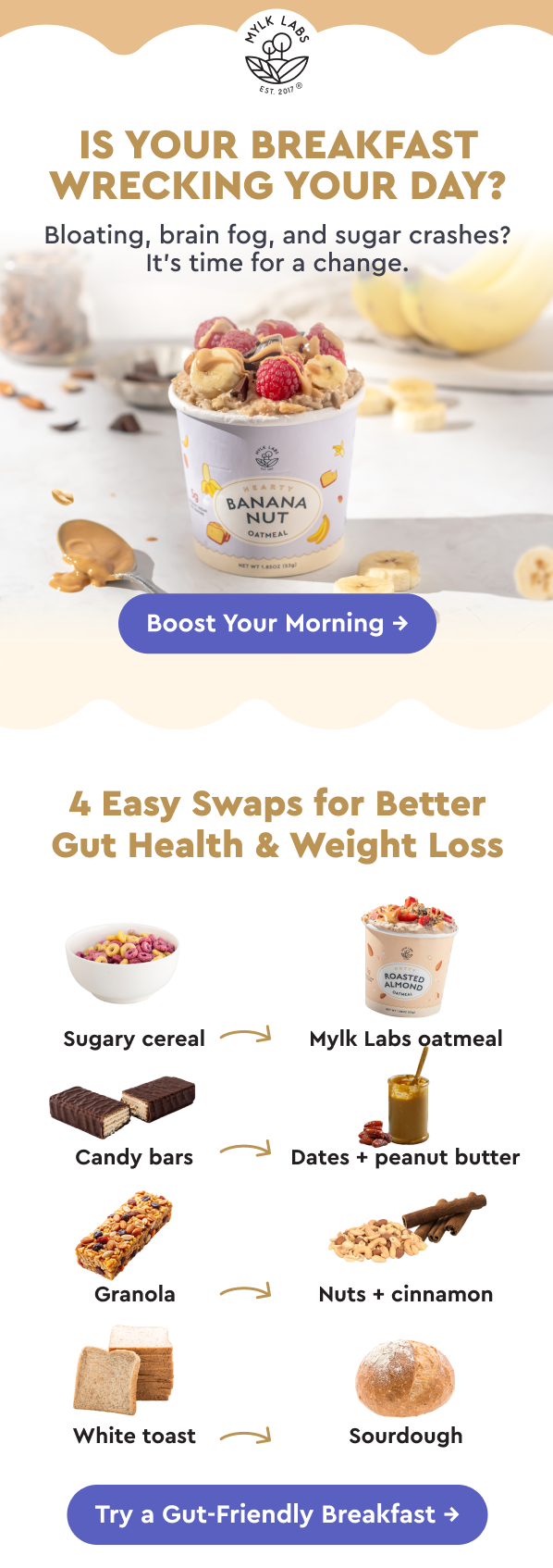 Mylk Labs breakfast email